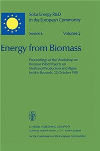 Energy from Biomass