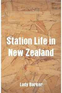 Station Life in New Zealand