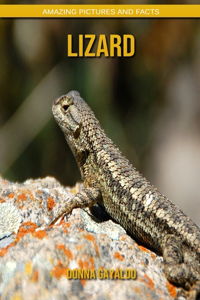 Lizard