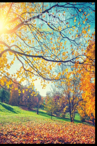 Autumn Wall Calendar 2021