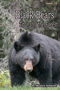 Black Bears