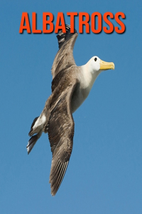 Albatross