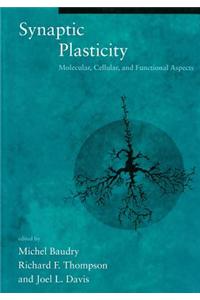 Synaptic Plasticity: Molecular, Cellular, and Functional Aspects