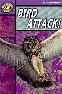 Rapid Stage 1 Level B: Bird Attack! Reader Pack of  3 (Series 2)