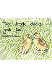 Two Little Ducks Get Lost
