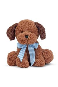 Meadow Medley Chocolate Puppy