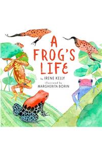 A Frog's Life