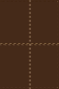 Bilingual Bible-PR-NIV/Rvr 1960: Reina-Valera 1960 / New International Version, Piel italiana duotono / Italian Leather DuoTone