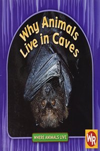 Why Animals Live in Caves