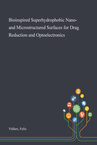Bioinspired Superhydrophobic Nano- and Microstructured Surfaces for Drag Reduction and Optoelectronics