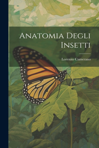 Anatomia Degli Insetti