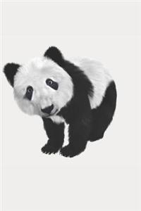 Panda Notebook