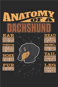 Anatomy Of A Dachshund