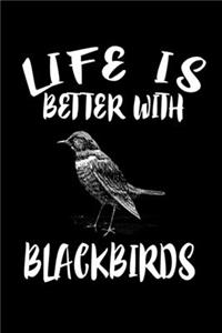Life Is Better With Blackbirds