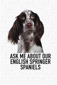 Ask Me about Our English Springer Spaniels