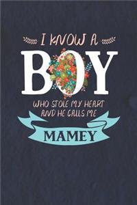 I Know a Boy Who Stole My Heart and He Calls Me Mamey