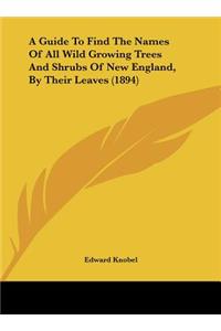 A Guide to Find the Names of All Wild Growing Trees and Shrubs of New England, by Their Leaves (1894)