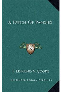 A Patch of Pansies