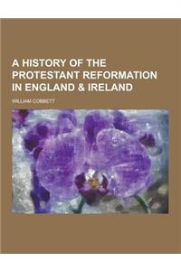 A History of the Protestant Reformation in England & Ireland