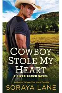 Cowboy Stole My Heart