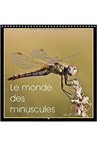 Monde des Minuscules 2017