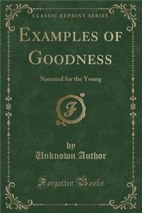 Examples of Goodness