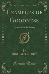 Examples of Goodness: Narrated for the Young (Classic Reprint)