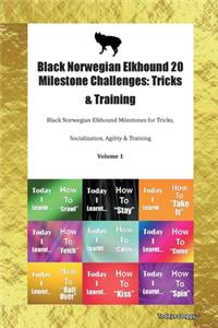 Black Norwegian Elkhound 20 Milestone Challenges