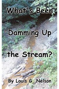 What's Been Damming Up the Stream?