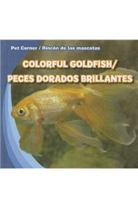Colorful Goldfish/Peces Dorados Brillantes