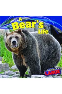 Bear's Life