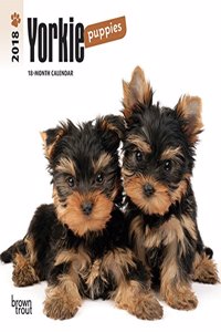 2018 Yorkshire Terrier Puppies Mini Wall