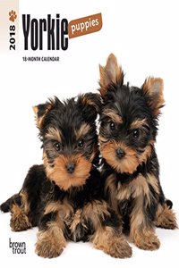 Yorkshire Terrier Puppies 2018 Mini Wall Calendar