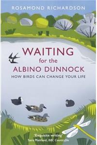 Waiting for the Albino Dunnock