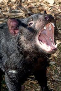 Tasmanian Devil Yawning Journal
