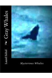 Gray Whales