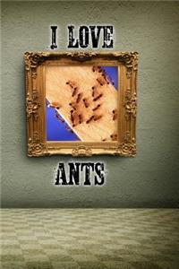 I Love Ants