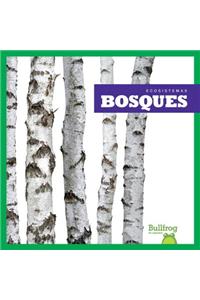 Bosques (Forests)