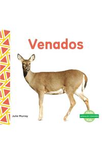 Venados (Deer ) (Spanish Version)