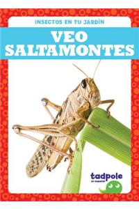 Veo Saltamontes (I See Grasshoppers)