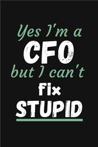 Yes I'm a CFO But I Can't Fix Stupid
