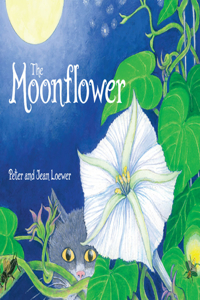 Moonflower