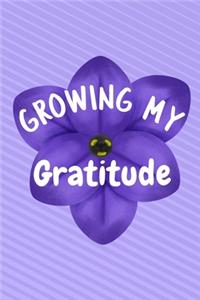 Growing My Gratitude