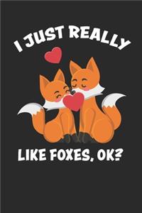 I just Really Like Foxes, Ok?