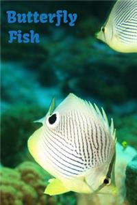 Butterfly Fish