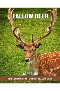 Fun Learning Facts about Fallow Deer