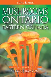 Mushrooms of Ontario and Eastern Canada