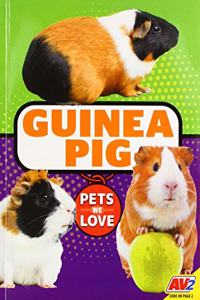 Guinea Pig