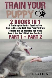 Train your Puppy