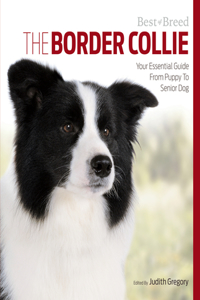 The Border Collie